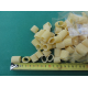 Pasta biologica Felicetti Senatore Cappelli Mezza manica 154 - 12x500 grammi.